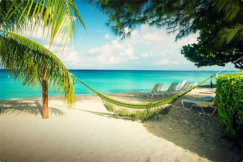 A lot of the hotels in Aruba also feature a casino positioned in the same building. The casino is their number one priority and they therefore do not ask for nearly just as much for the room than hotels normally do.